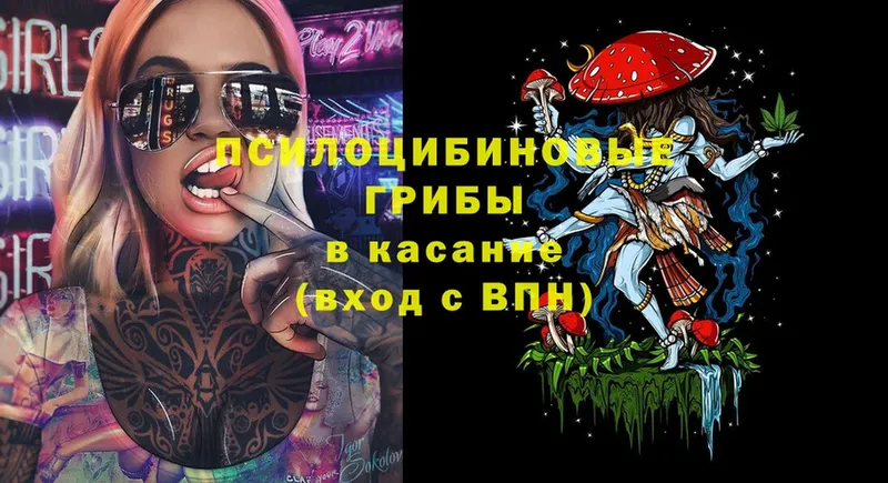 Псилоцибиновые грибы Cubensis  Алапаевск 